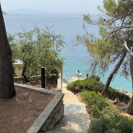 פריזבה Apartments Bisko מראה חיצוני תמונה